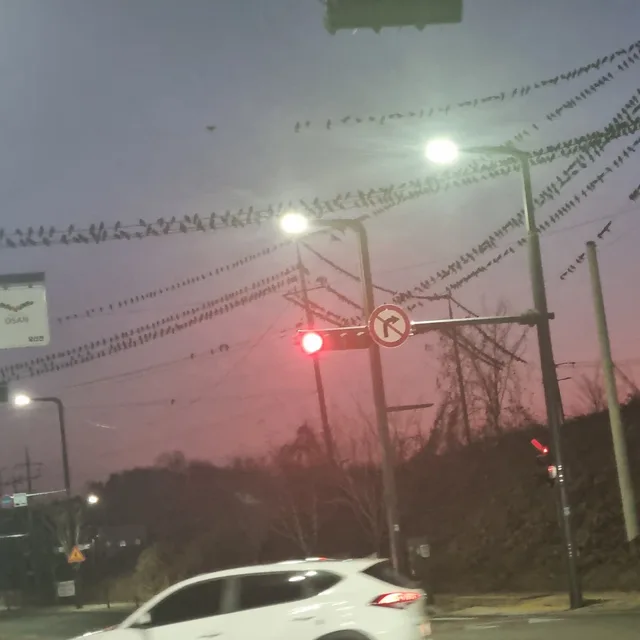 감자돌이