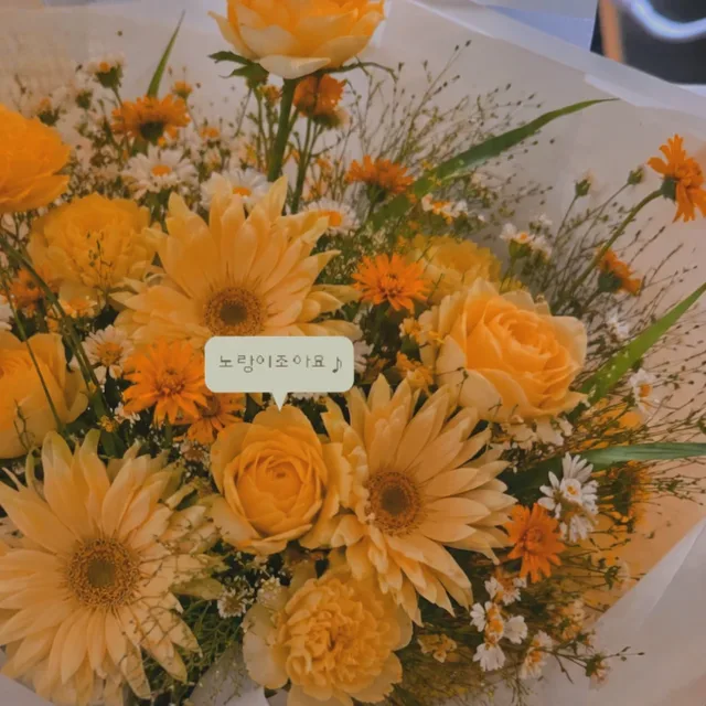 메롱이