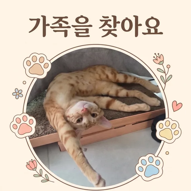 집사