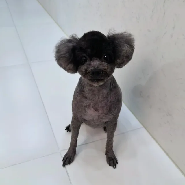 명품