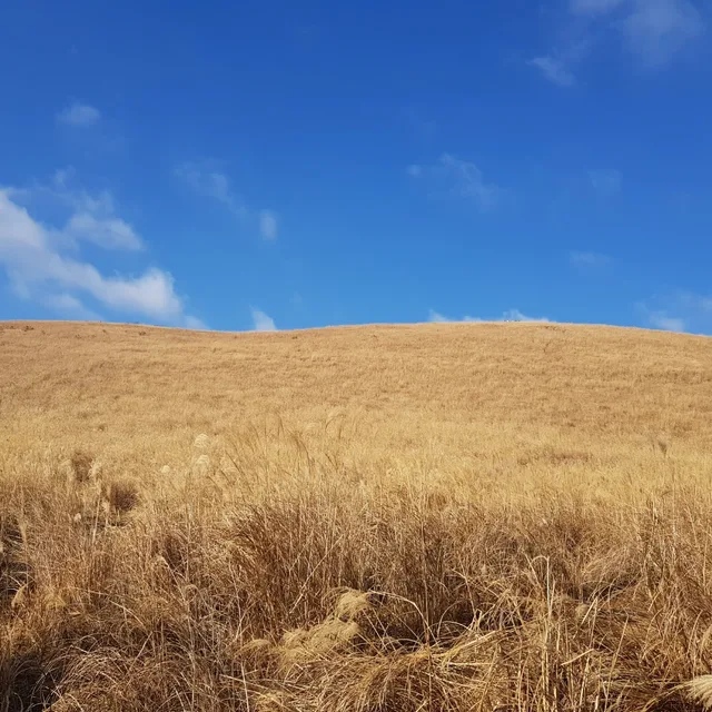 바로지금