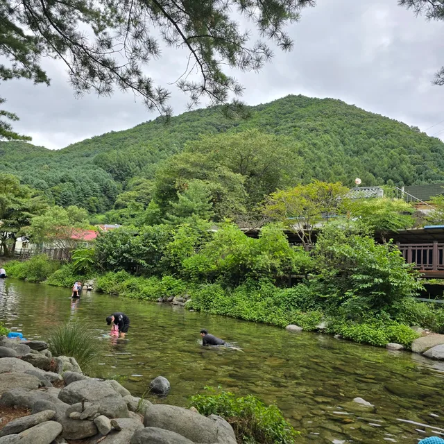 붥붥붥