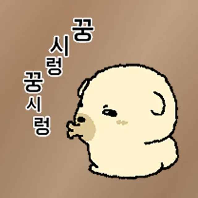 디딤디