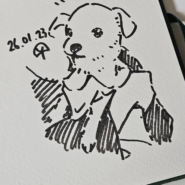 매너칭찬부탁해요