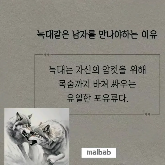 늑대본능