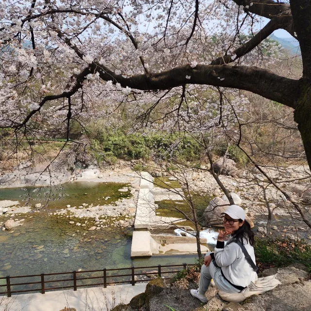 쵸코하임