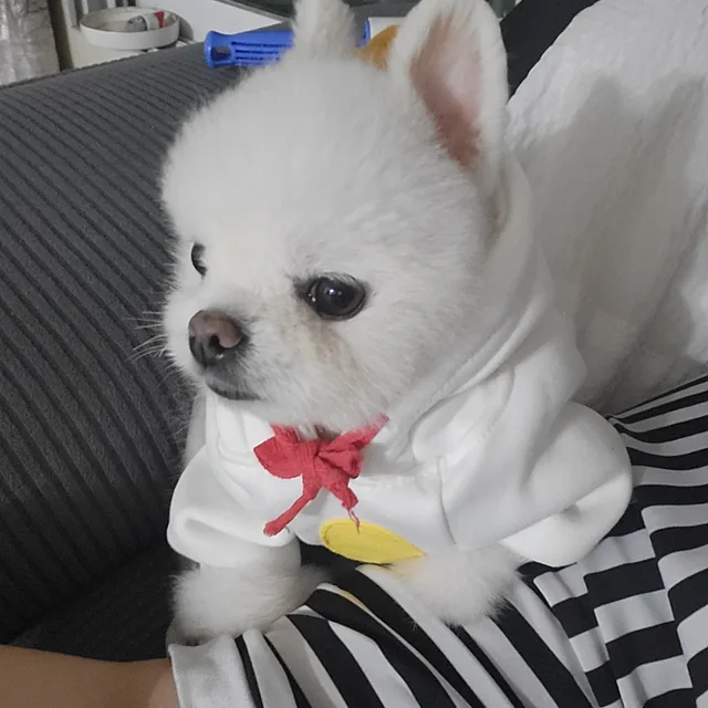 타이짱맘