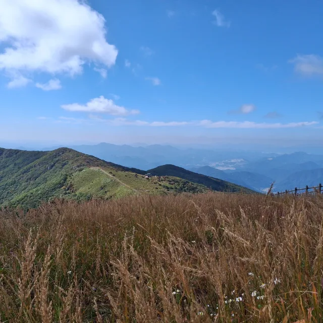 오늘도감사