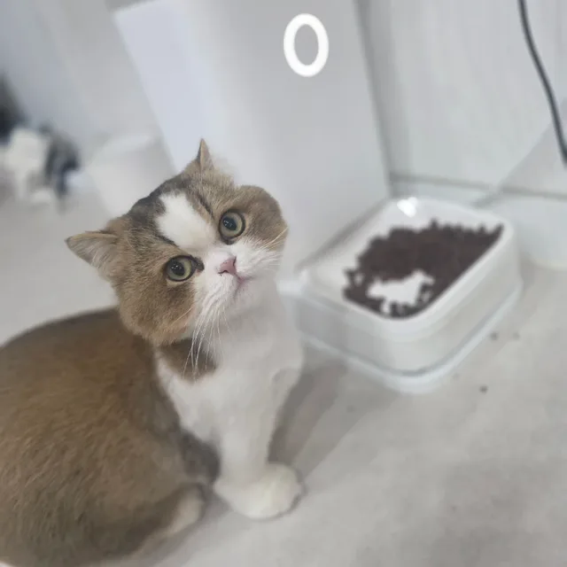 너만바라보리