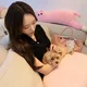 아리