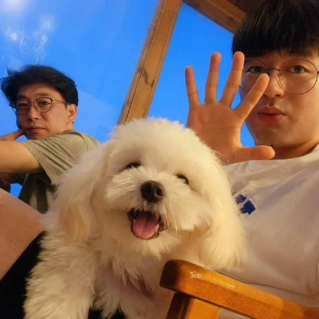로이드수학