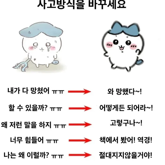 밤양갱