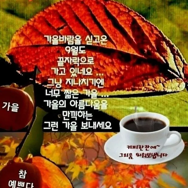 후리지아