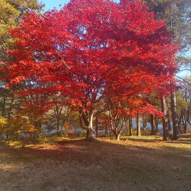 그린색