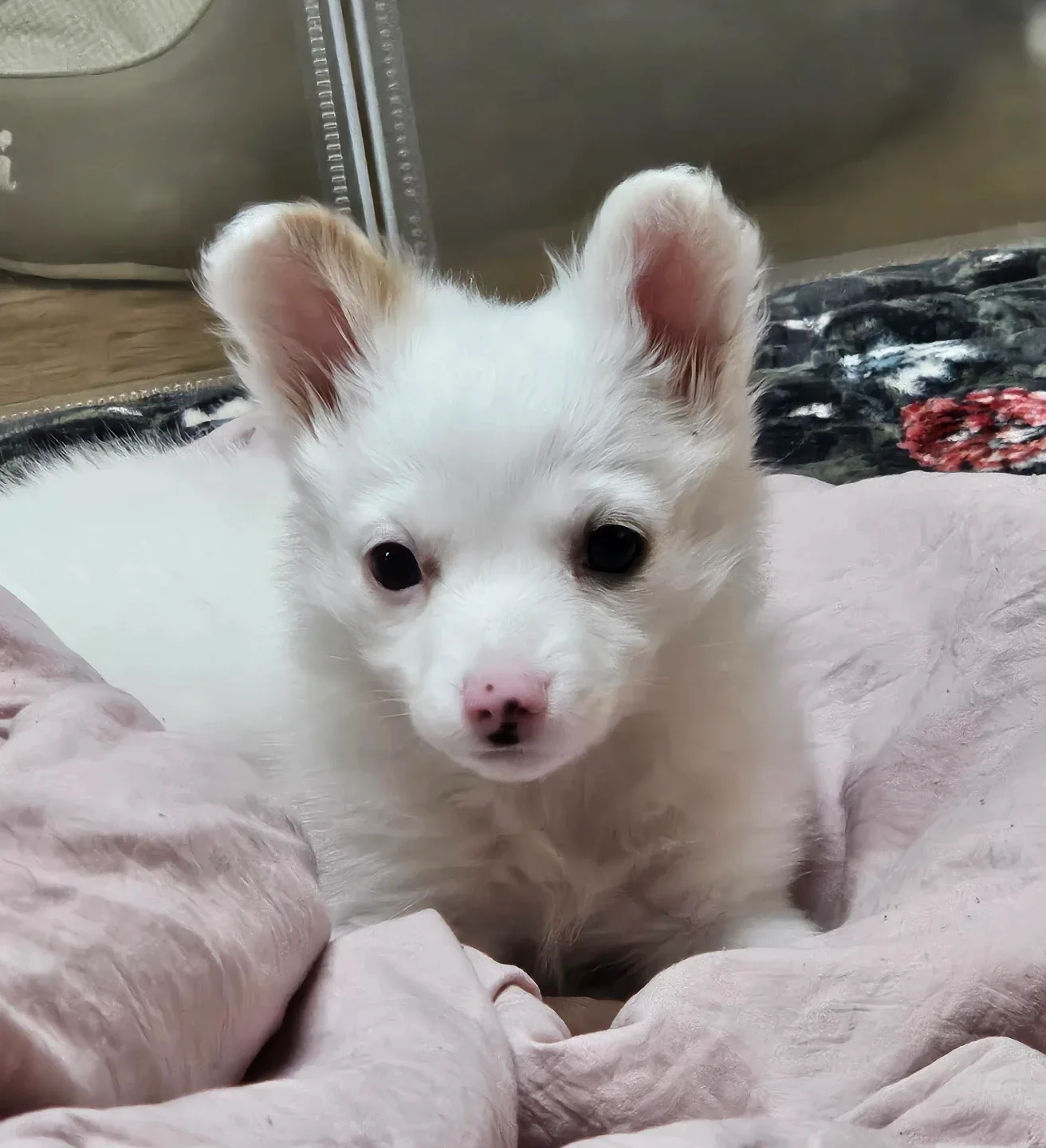 혜윤