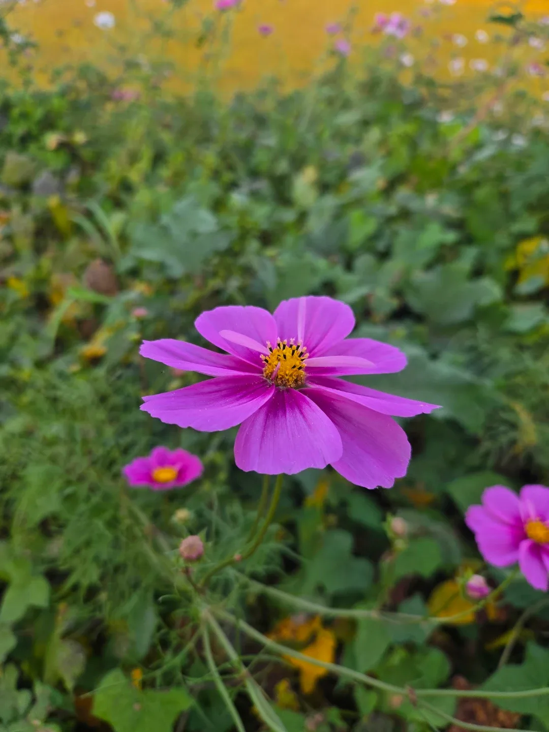 자물쇠