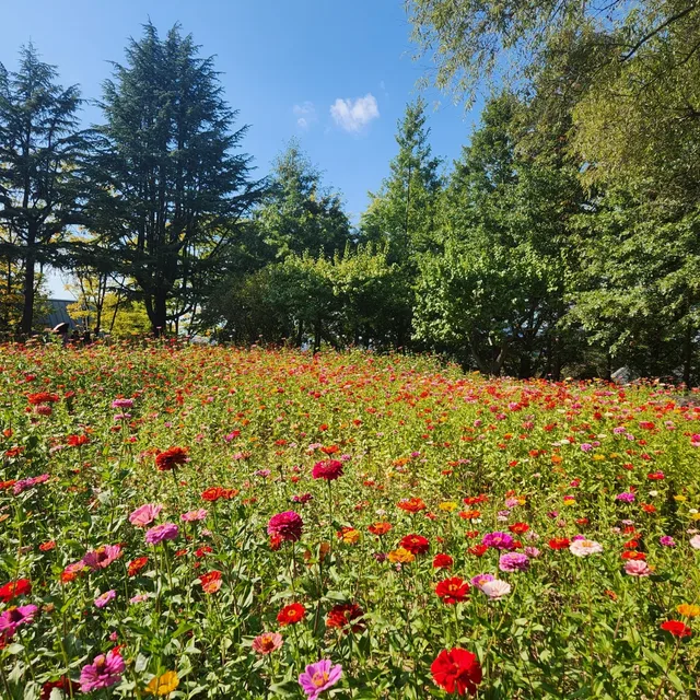 현주