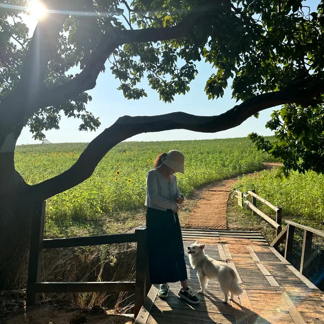 밤비맘