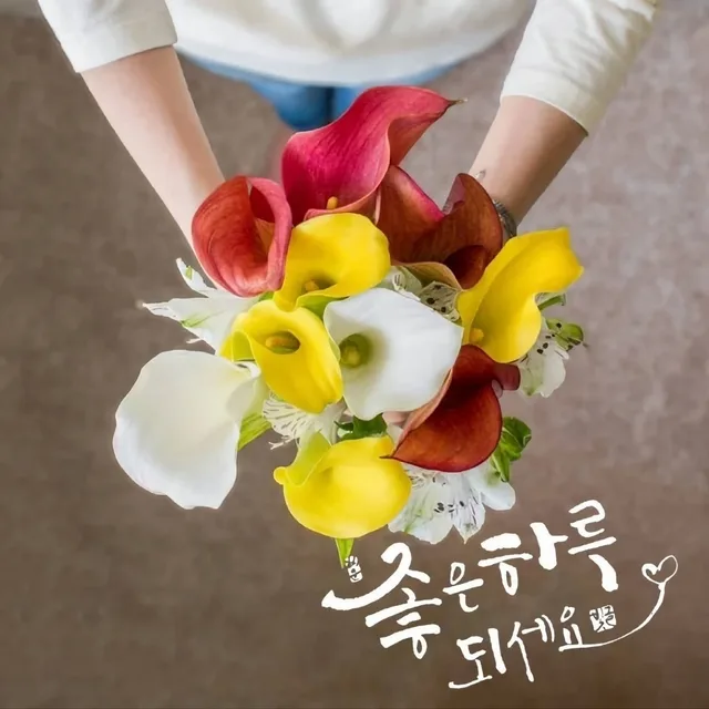 쌍둥맘