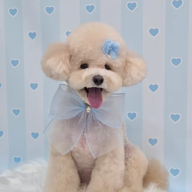 예진맘
