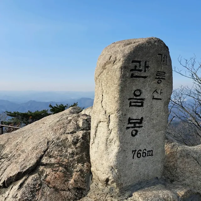 대왕참치