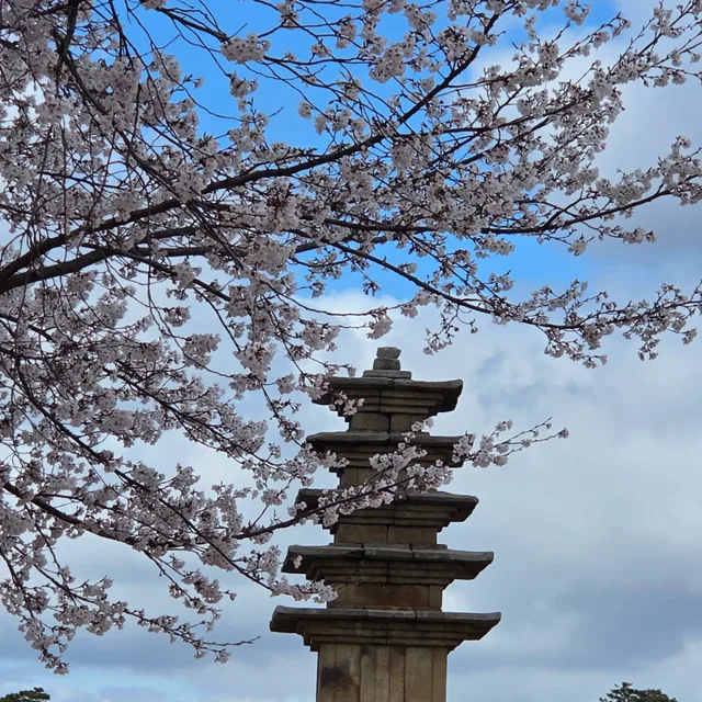 독사