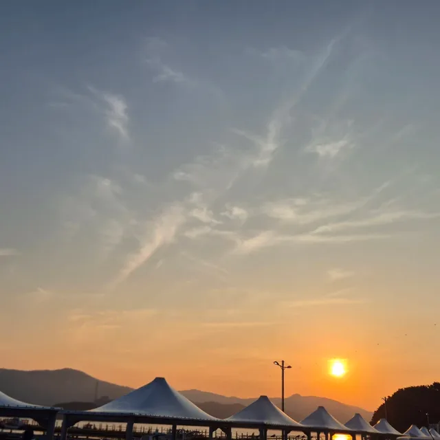 둥보둥보
