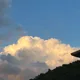 문실장