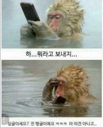 답장느리대현