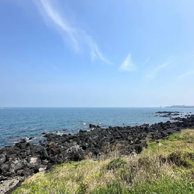 도몽