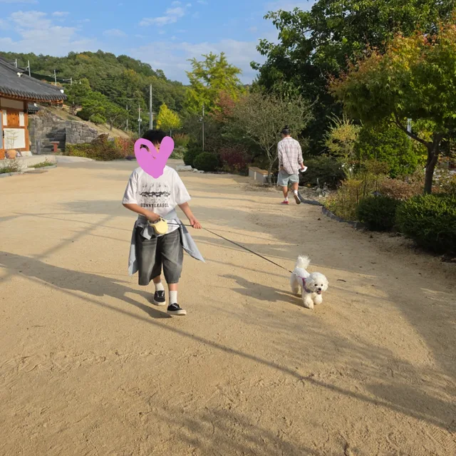 안동물개