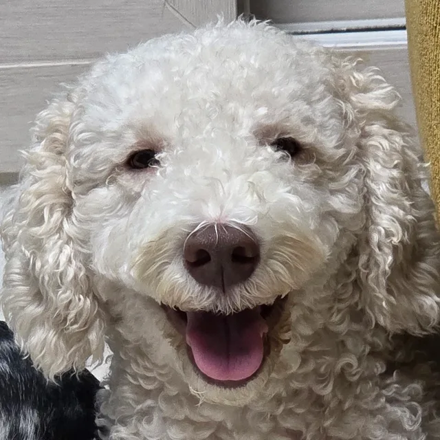 오느른