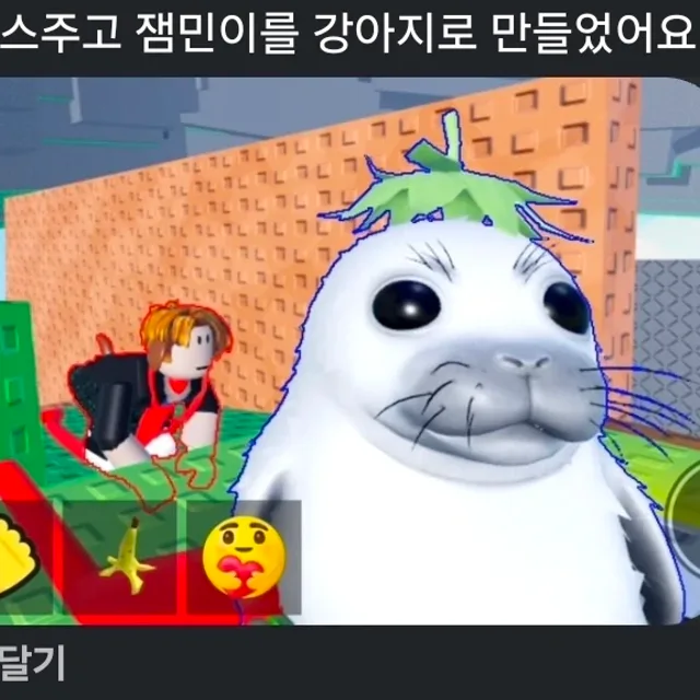 요즘못자핫냥이