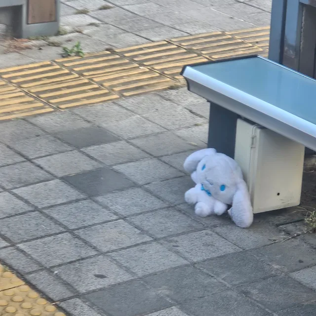 노숙모롤