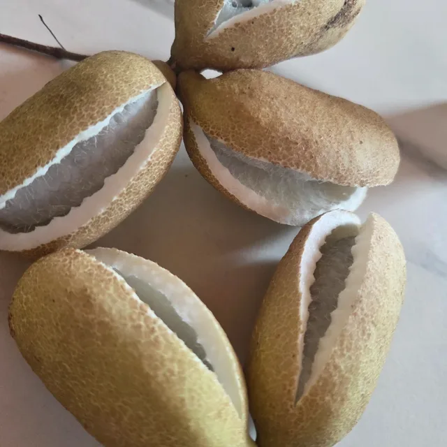 가을이다