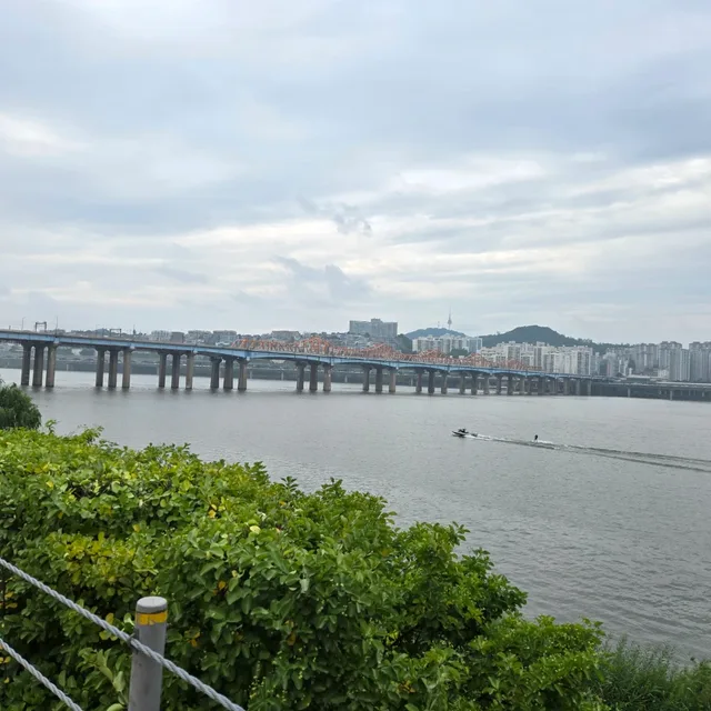 Mr구