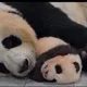 레몬사이다
