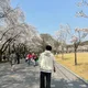 동동