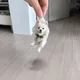 화2화2