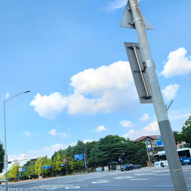 푸른색좋아