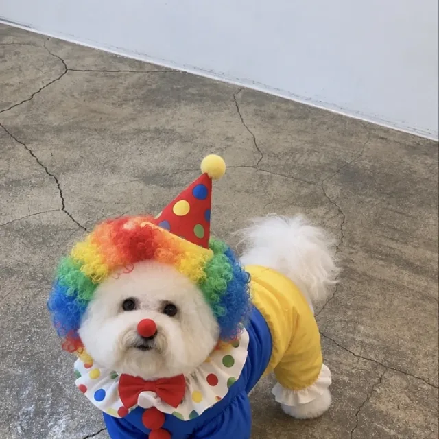 멍멍따