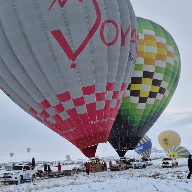 profile