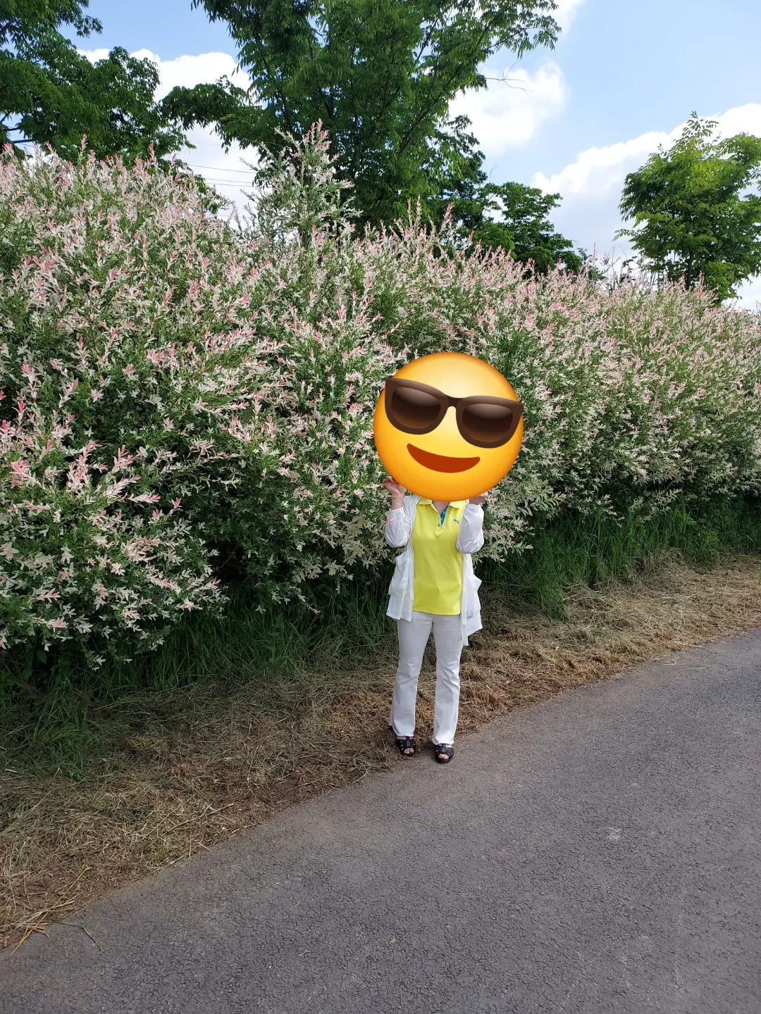 민미W