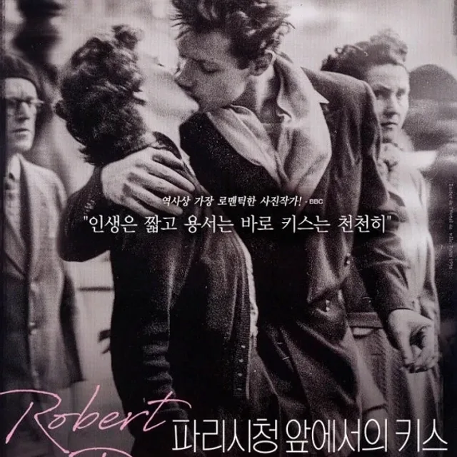 단풍손