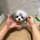 메종드켄넬