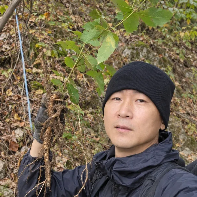 허공에핀만다라