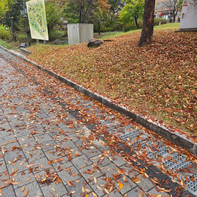 행복한사람