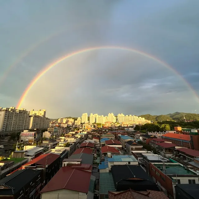 솔내