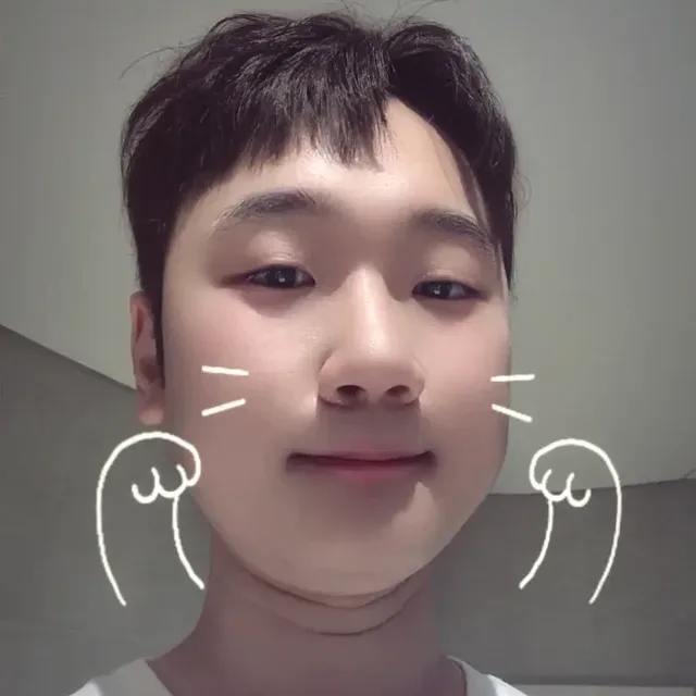 안정형