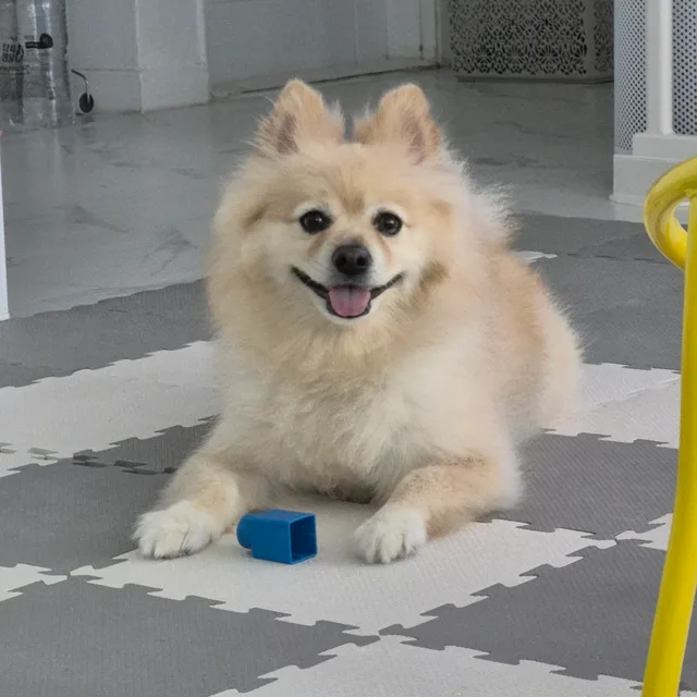 콩민준엄마
